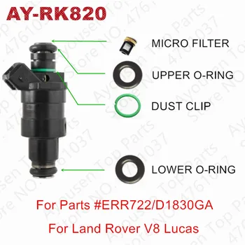 10 комплекта за Land Rover V8 Лукас Sagem ERR722 D1830GA Комплекти уплътнения на горивните дюзи и филтри за ремонт (AY-RK820)